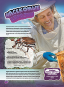 Животные — фото, картинка — 14