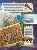 Животные — фото, картинка — 15