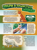 Животные — фото, картинка — 10