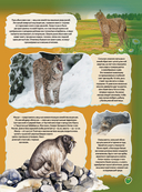 Животные — фото, картинка — 11