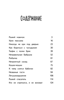 Лето кота Пармезанова — фото, картинка — 1