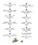 Давай поговорим о том, откуда берутся дети. О зачатии, рождении, младенцах и семьях — фото, картинка — 7