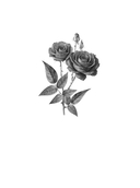 Всегда говори 