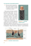 Волосы. Иллюстрированное пособие для врачей, трихологов и парикмахеров — фото, картинка — 11