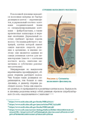 Волосы. Иллюстрированное пособие для врачей, трихологов и парикмахеров — фото, картинка — 14