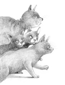 Большая книга приключений кота Тихона — фото, картинка — 2