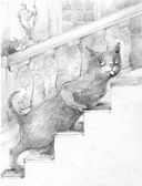 Большая книга приключений кота Тихона — фото, картинка — 11