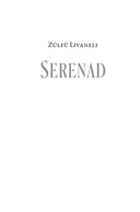 Серенада для Нади. Забытая трагедия Второй мировой — фото, картинка — 2