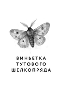 Энтомология для слабонервных — фото, картинка — 6