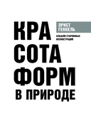 Красота форм в природе — фото, картинка — 1