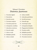 Красота форм в природе — фото, картинка — 9