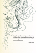 Красота форм в природе — фото, картинка — 3