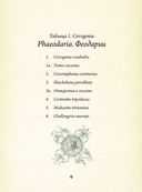Красота форм в природе — фото, картинка — 5