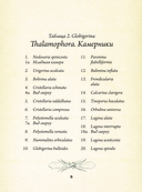 Красота форм в природе — фото, картинка — 6