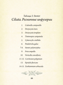 Красота форм в природе — фото, картинка — 8