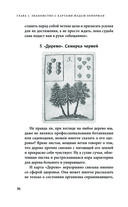 Оракул мадам Ленорман. Руководство по гаданию и предсказанию — фото, картинка — 37