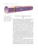 Интерстеллар. Наука за кадром — фото, картинка — 32