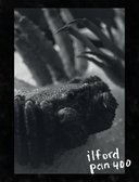 DARK ART 2. Антология российского темного искусства — фото, картинка — 4