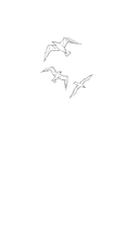 Буря — фото, картинка — 1