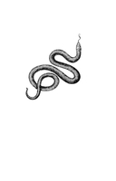 Мёртвый невод Егора Лисицы — фото, картинка — 1