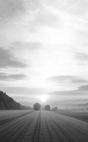 Что нам нужно для счастья? Как не прожить чужую жизнь — фото, картинка — 1