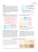 Цвет. Полный гид по рисованию — фото, картинка — 13