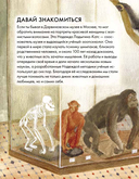 Чему я могу научиться у Надежды Ладыгиной-Котс — фото, картинка — 1