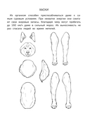 Бумажный Новый год. Вырежи, раскрась, играй. 12 готовых схем — фото, картинка — 1