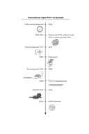 Первая молекула. Как РНК раскрывает главные тайны биологии — фото, картинка — 11