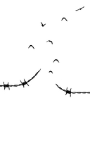 Акушерка из Берлина — фото, картинка — 1