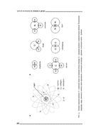 От атомов к древу. Введение в современную науку о жизни — фото, картинка — 19