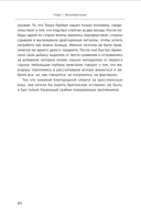 Реальные клады: от римского золота до тайников военного времени — фото, картинка — 6