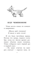Весёлые школьные рассказы — фото, картинка — 5