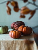 Тыквенная книга. Яркие блюда. Ароматные сочетания — фото, картинка — 8