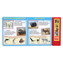 50 голосов животных — фото, картинка — 1