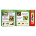 50 голосов животных — фото, картинка — 2