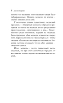 Медвежий брод — фото, картинка — 11