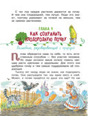 Огородные сказки — фото, картинка — 6