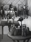 Запутанное дело о пропаже сапфиров — фото, картинка — 2