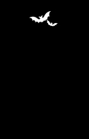 Мирелла Мануш. Осторожно, летит госпожа Сова! — фото, картинка — 1