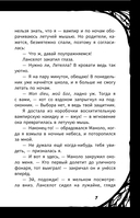 Мирелла Мануш. Осторожно, летит госпожа Сова! — фото, картинка — 7