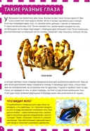 Невероятные сверхвозможности животных — фото, картинка — 1