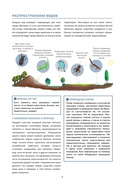 Искатель приключений. Справочник юного путешественника. Как весело и безопасно проводить время на природе — фото, картинка — 7