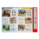 Дикие животные — фото, картинка — 2