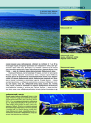 Байкал. Уникальная Россия — фото, картинка — 8