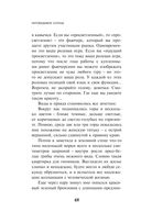 Непобедимое солнце — фото, картинка — 46