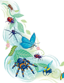 Насекомые и пауки — фото, картинка — 2