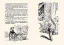 Жизнь Дэвида Копперфилда, рассказанная им самим. В двух томах — фото, картинка — 3