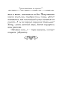 Происшествие в городе Т. — фото, картинка — 12