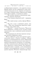 Происшествие в городе Т. — фото, картинка — 18